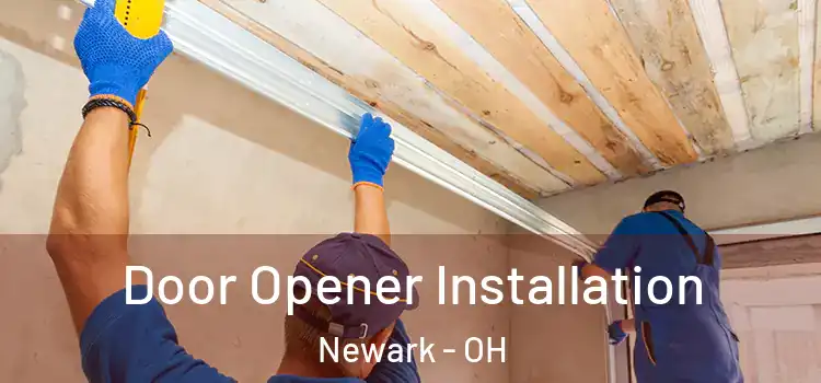 Door Opener Installation Newark - OH