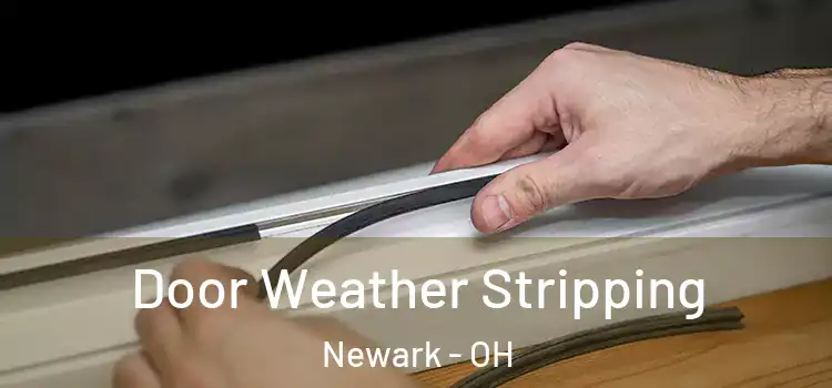Door Weather Stripping Newark - OH