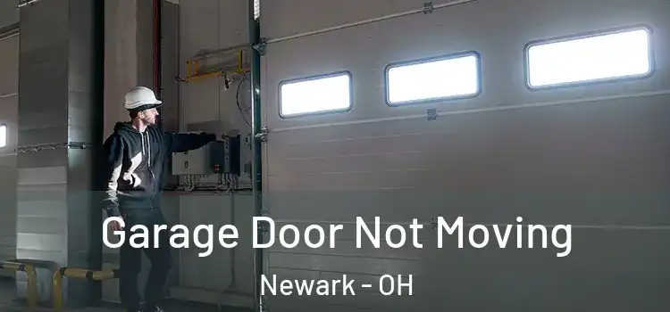  Garage Door Not Moving Newark - OH