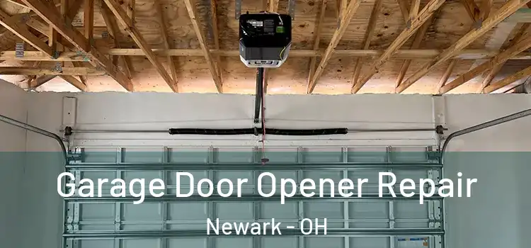  Garage Door Opener Repair Newark - OH