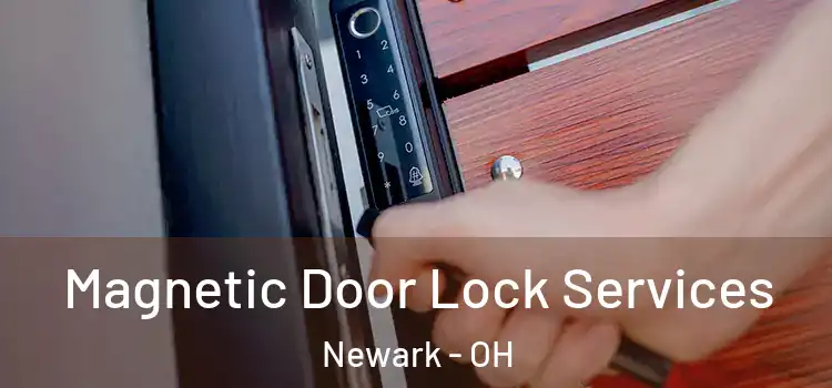 Magnetic Door Lock Services Newark - OH