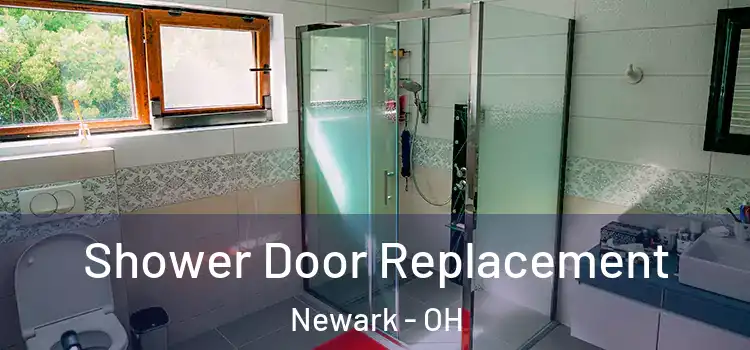 Shower Door Replacement Newark - OH
